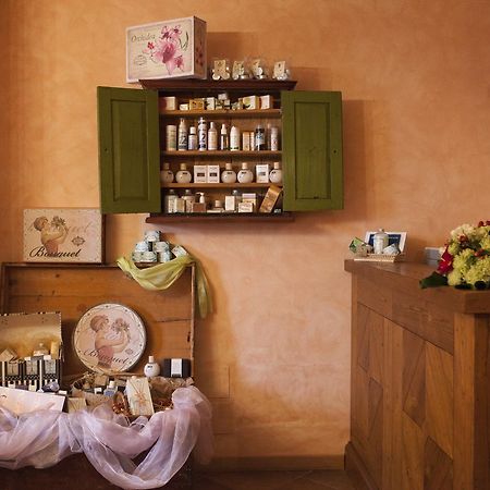 Country House Poggio Fiorito 아시시 외부 사진