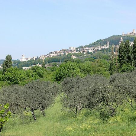 Country House Poggio Fiorito 아시시 외부 사진
