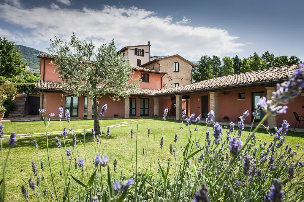 Country House Poggio Fiorito 아시시 외부 사진