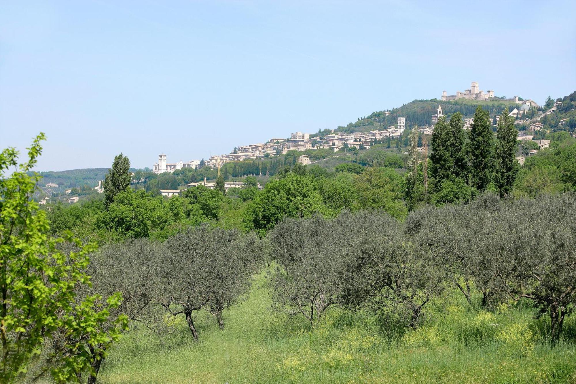 Country House Poggio Fiorito 아시시 외부 사진